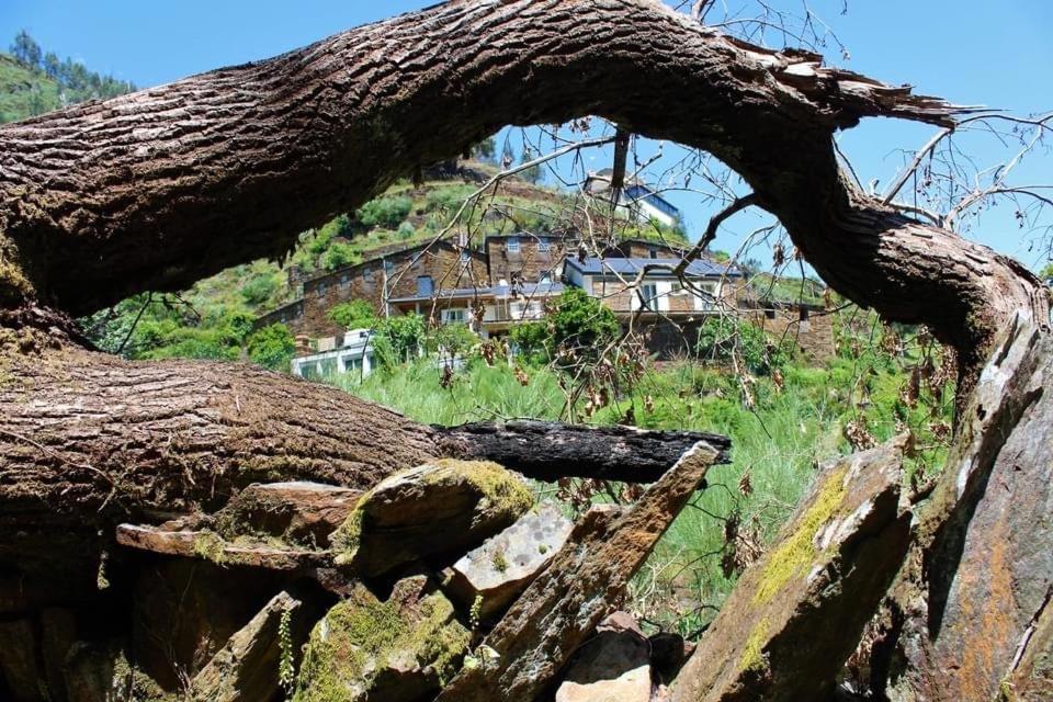 O Refugio Do Mineiro Διαμέρισμα Αρούκα Εξωτερικό φωτογραφία